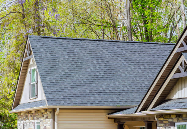 Best Green or Eco-Friendly Roofing Solutions  in Burlingame, CA
